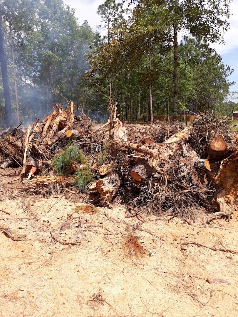 mother-nature-s-mess-pensacola-junk-removal